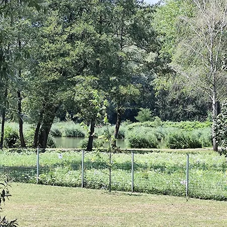 Szentkut Camping